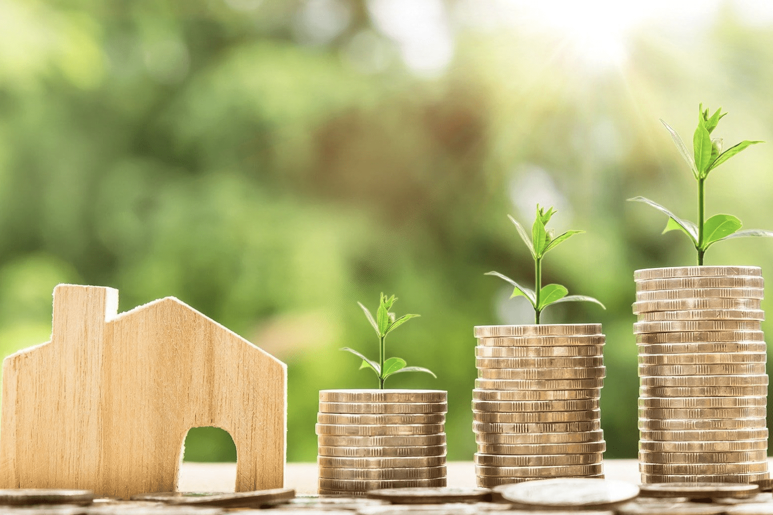 Carnegie Mortgage and Protection Ltd